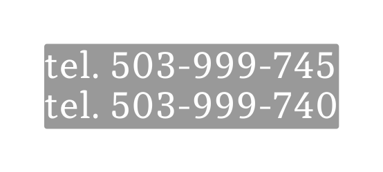 tel 503 999 745 tel 503 999 740